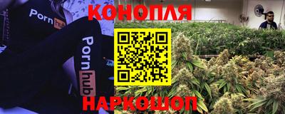 бошки Пушкино